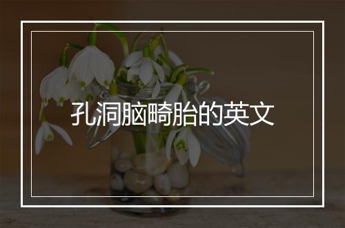 孔洞脑畸胎的英文