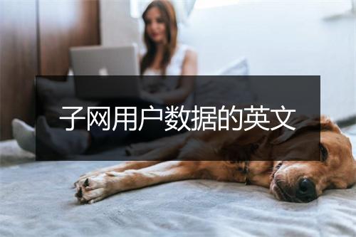 子网用户数据的英文