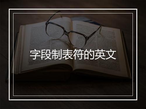 字段制表符的英文