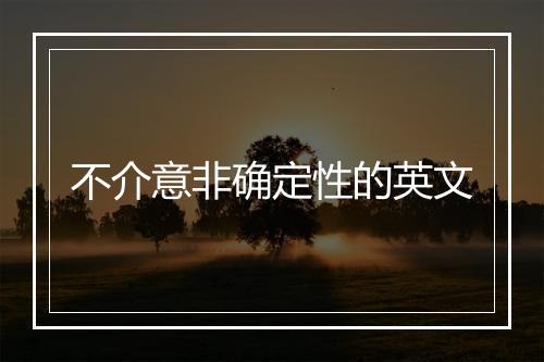 不介意非确定性的英文