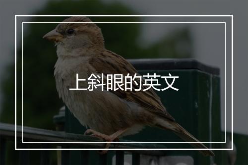 上斜眼的英文