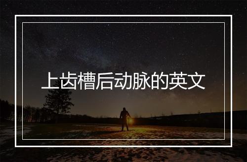 上齿槽后动脉的英文