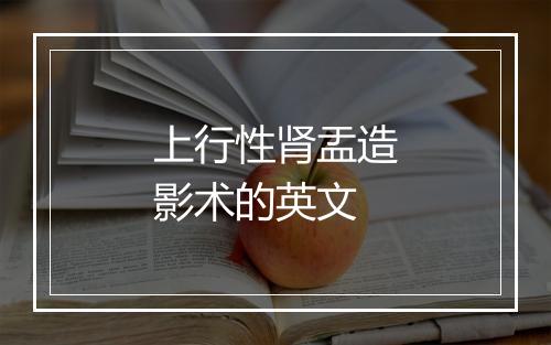 上行性肾盂造影术的英文