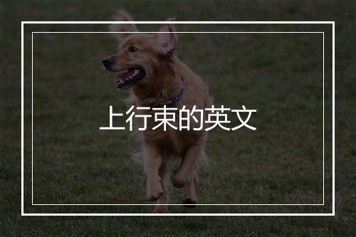 上行束的英文