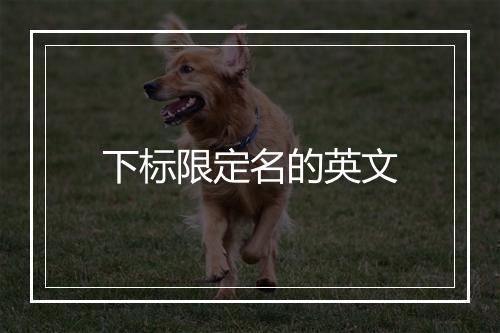 下标限定名的英文