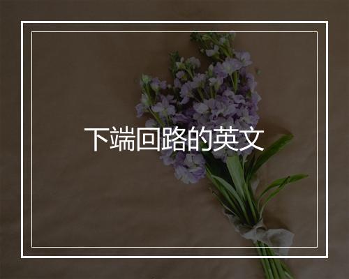 下端回路的英文