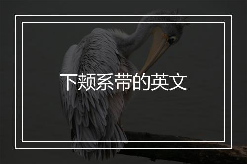 下颊系带的英文