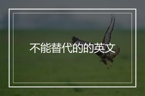 不能替代的的英文