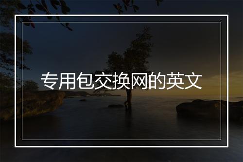 专用包交换网的英文