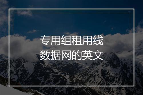 专用组租用线数据网的英文