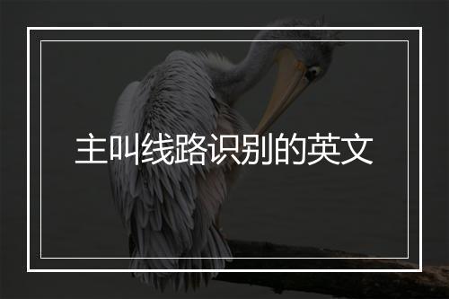 主叫线路识别的英文