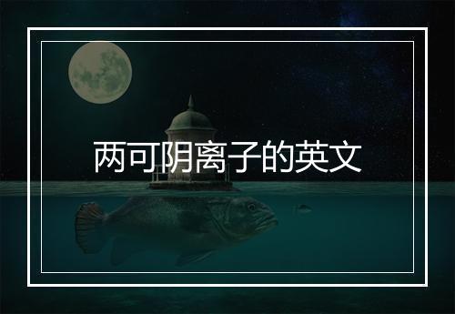 两可阴离子的英文