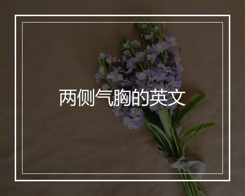 两侧气胸的英文