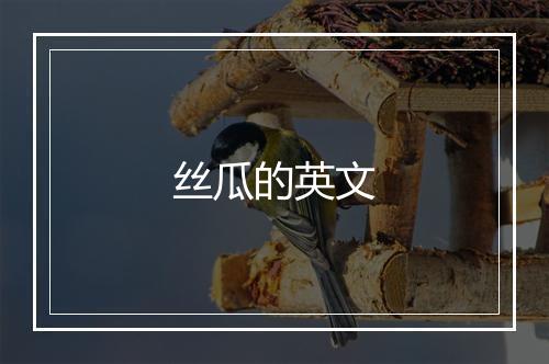 丝瓜的英文