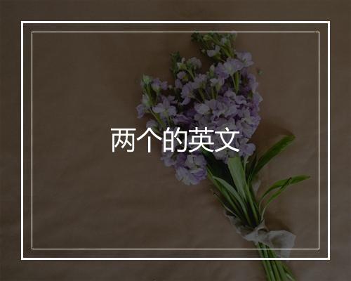 两个的英文