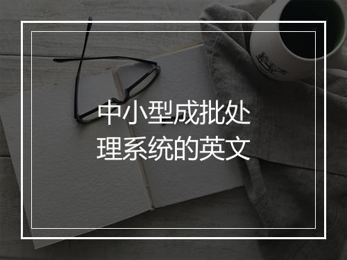 中小型成批处理系统的英文