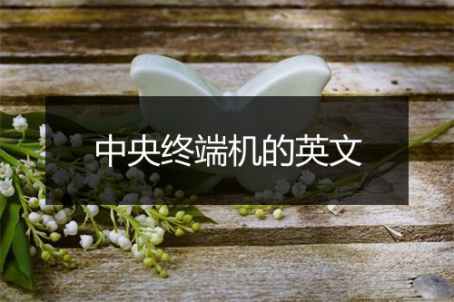 中央终端机的英文