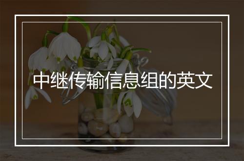 中继传输信息组的英文