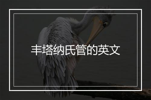 丰塔纳氏管的英文