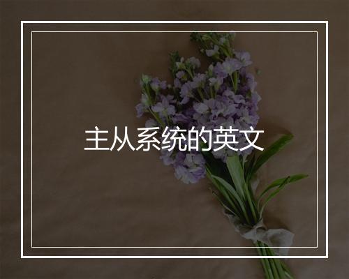 主从系统的英文