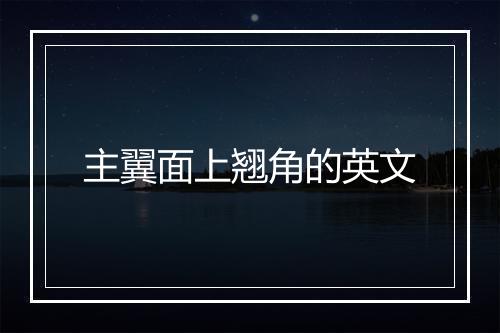 主翼面上翘角的英文