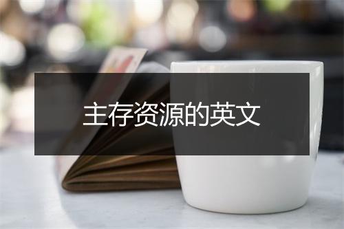 主存资源的英文