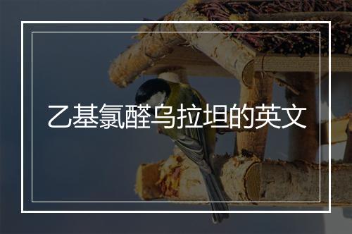 乙基氯醛乌拉坦的英文