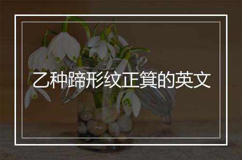 乙种蹄形纹正箕的英文