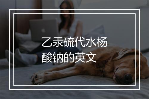 乙汞硫代水杨酸钠的英文