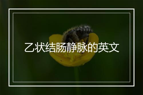 乙状结肠静脉的英文