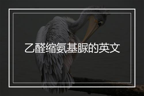 乙醛缩氨基脲的英文