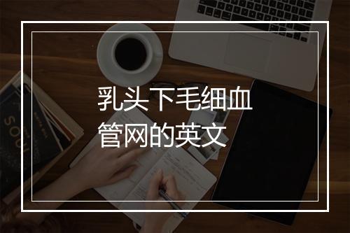 乳头下毛细血管网的英文