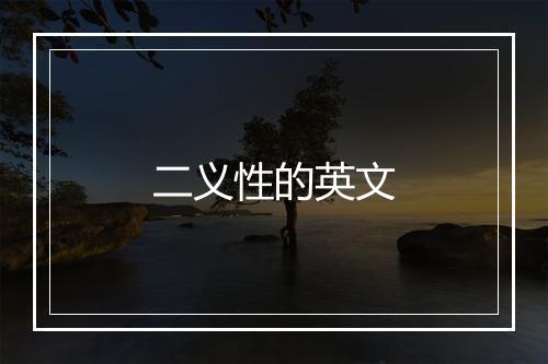 二义性的英文