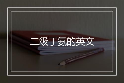 二级丁氨的英文