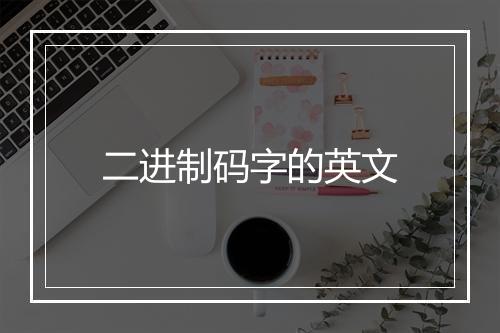 二进制码字的英文