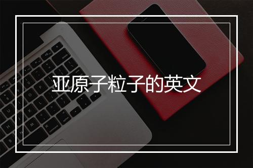 亚原子粒子的英文