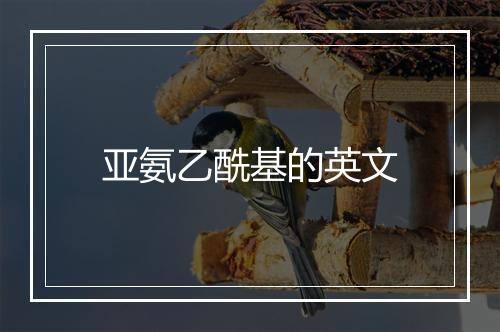 亚氨乙酰基的英文