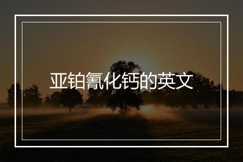 亚铂氰化钙的英文