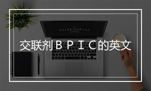 交联剂ＢＰＩＣ的英文