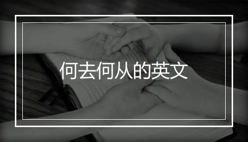 何去何从的英文