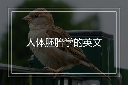 人体胚胎学的英文