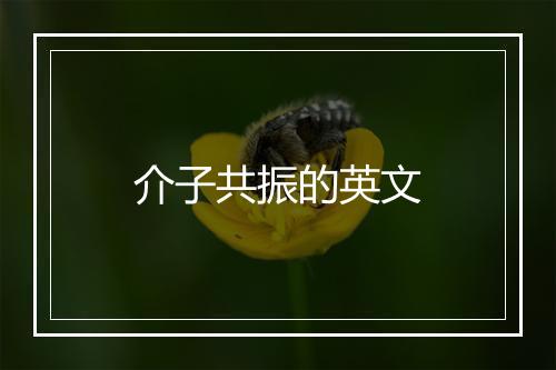 介子共振的英文