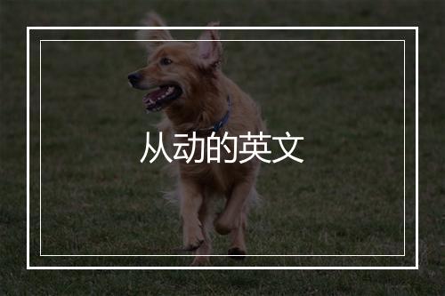 从动的英文