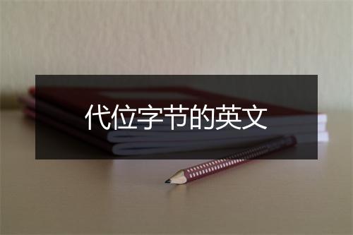 代位字节的英文