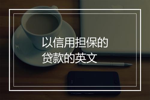 以信用担保的贷款的英文