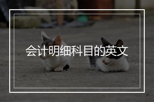 会计明细科目的英文