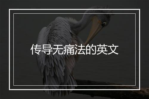 传导无痛法的英文