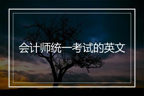 会计师统一考试的英文