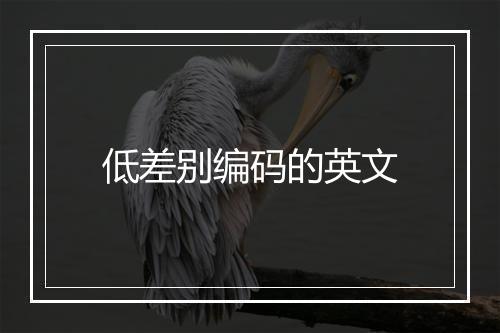 低差别编码的英文