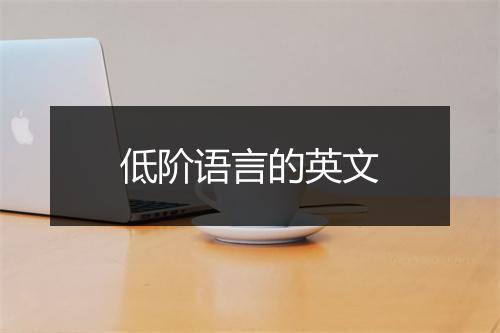 低阶语言的英文